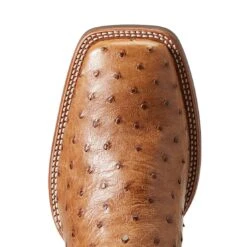Ariat Men`s Quantum Primo Ranger FQ Ostrich 11` Beam Brown Top Square Toe Boots -Nrsworld 10040281 4