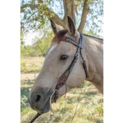 Circle Y Saddlery Dark Flash Arizona Flower Browband Headstall -Nrsworld 1008 12 SC 3