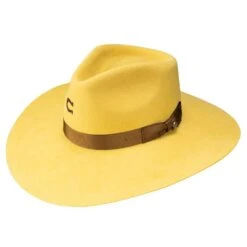 Charlie 1 Horse Dijon Yellow Highway 3 3/4in. Brim Fashion Hat
