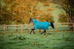 Horseware Ireland Amigo Bravo 12 Plus Heavy 400g