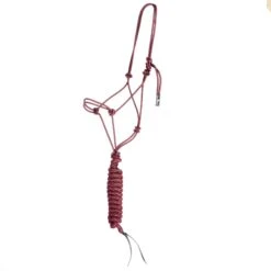 Classic Econo Halter And 9-Foot Leadrope 13 Classic Econo Halter And 9-Foot Leadrope -Nrsworld 241613 789091