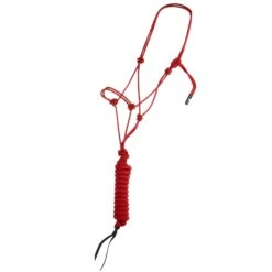 Classic Econo Halter And 9-Foot Leadrope 15 Classic Econo Halter And 9-Foot Leadrope -Nrsworld 241613 789093