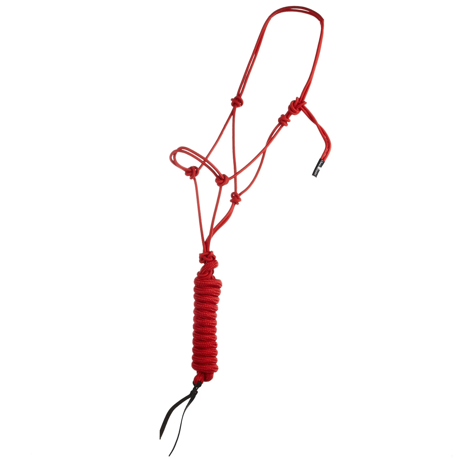 Classic Econo Halter And 9-Foot Leadrope 8 Classic Econo Halter And 9-Foot Leadrope - Image 8