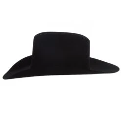 Resistol 20X Black Gold Precreased 4 1/4in. Brim Felt Cowboy Hat -Nrsworld RFBKGD 72427771 04